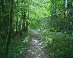 eva rudlinger detour