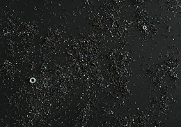 eva rudlinger porosities and other fluctuations, static