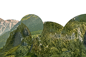 Cryptic Journey photograph