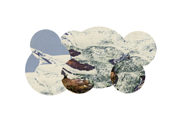 cryptic journey photograph