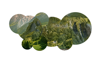 cryptic journey photograph