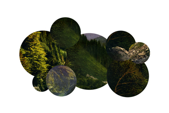 cryptic journey photograph