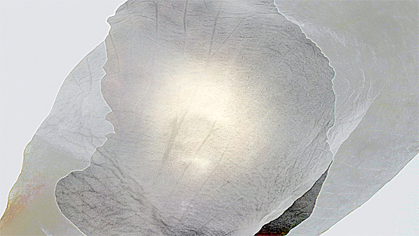 collaged photograph