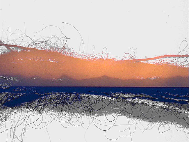 eva rudlinger absent night