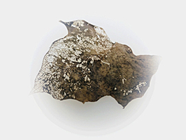 sequences of photographs