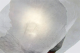 index image combined processes