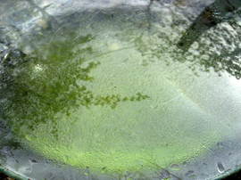 transform close up image