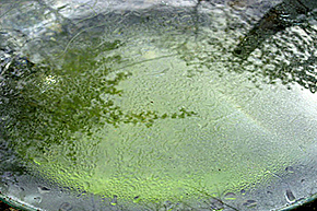 Transform close up image 