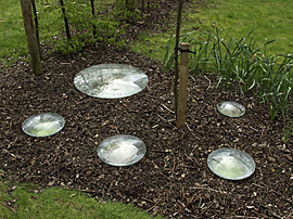 transform installtion view