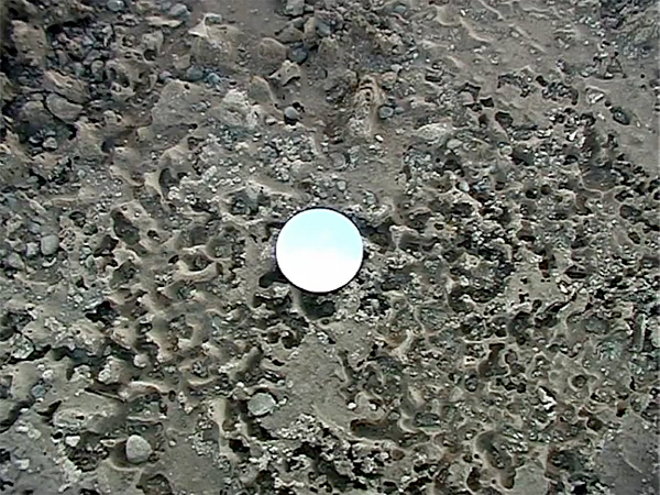 eva rudlinger terrestrial skylight