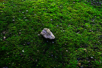 photograph viewer 13